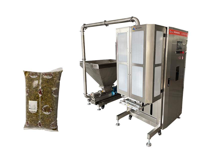 FM-G10全自動高速粘體稱重包裝機-螺杆泵